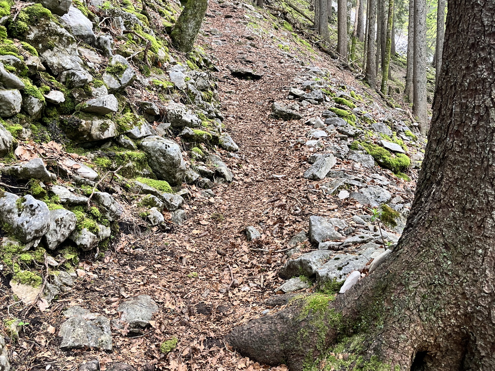 23-05-23 10-19-41 5570